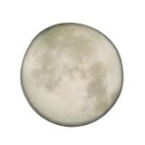 Porland Stoneware Selene 28 cm 6 Adet Makarna&Salata Tabağı