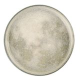 Porland Stoneware Selene 30 cm Düz Tabak