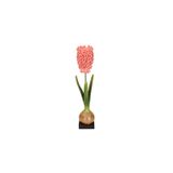Porland Sümbül Pembe Şamdan 35cm