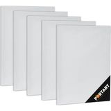 Portart Tuval 20X30 cm 5'li Paket