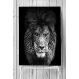 Postermanya Aslan Motivasyon 3 40x60 cm Poster