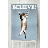 Postermanya Believe Cat Hayvan 70x100 cm Poster