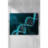 Postermanya Dna Bilimsel 70x100 cm Poster