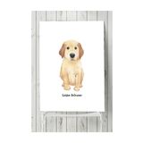 Postermanya Golden Retriever Çocuk Odası 30x40 cm Poster