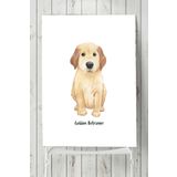 Postermanya Golden Retriever Çocuk Odası 60x90 cm Poster