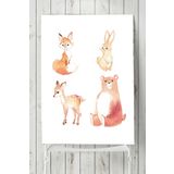 Postermanya Hayvanlar Alemi Tasarım Çocuk Odası 60x90 cm Poster
