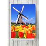 Postermanya Hollanda Manzara 50x70 cm Poster