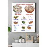 Postermanya Hücre Eğitim 40x60 cm Poster