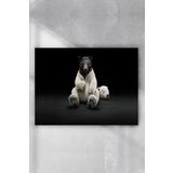 Postermanya Kutup Ayısı Eğlenceli Mizahi 40x60 cm Poster