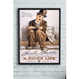 Postermanya (pster10829) A Dogs Life Hayvan Çerçeveli Tablo Film Afişi (21x30cm)