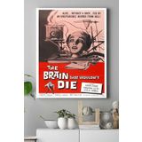 Postermanya (pster15416) Brain That Wouldnt Die Bilimsel Kanvas Tablo 21 x 30