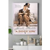 Postermanya (pster15866) A Dogs Life Hayvan Kanvas Tablo Film Afişi 21 x 30
