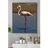 Postermanya (pster16033) Flamingo Hayvan Kanvas Tablo 21 x 30