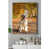 Postermanya (pster16103) Golden Retriever Hayvan Kanvas Tablo 50 x 70