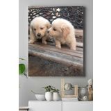 Postermanya (pster16107) Golden Retriever Hayvan Kanvas Tablo 2 21 x 30