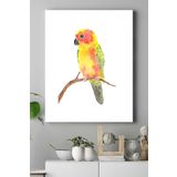 Postermanya (pster16205) Sanatsal Papağan Hayvan Kanvas Tablo 21 x 30
