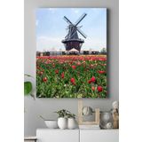 Postermanya (pster16228) Hollanda Manzara Kanvas Tablo 2 40 x 60
