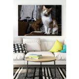 Postermanya (pster16467) Kedi Hayvan Kanvas Tablo 6 50 x 70