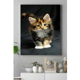 Postermanya (pster16470) Kedi Hayvan Kanvas Tablo 2 40 x 60