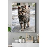 Postermanya (pster16475) Kedi Hayvan Kanvas Tablo 3 40 x 60