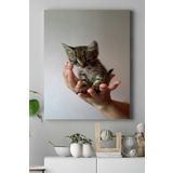 Postermanya (pster16480) Kedi Hayvan Kanvas Tablo 4 40 x 60