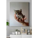 Postermanya (pster16483) Kedi Hayvan Kanvas Tablo 4 50 x 70
