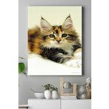 Postermanya (pster16488) Kedi Hayvan Kanvas Tablo 5 21 x 30