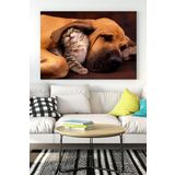 Postermanya (pster16513) Kedi Ve Köpek Eğlenceli Mizahi Kanvas Tablo 21 x 30