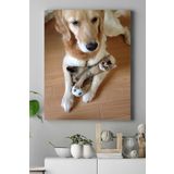 Postermanya (pster16516) Kedi Köpek Hayvan Kanvas Tablo 40 x 60