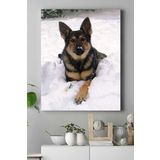 Postermanya (pster16775) Kurt Köpeği Hayvan Kanvas Tablo 30 x 40