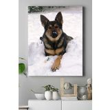 Postermanya (pster16776) Kurt Köpeği Hayvan Kanvas Tablo 21 x 30