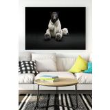 Postermanya (pster16818) Kutup Ayısı Eğlenceli Mizahi Kanvas Tablo 40 x 60