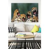Postermanya (pster16833) Gülen Leoparlar Eğlenceli Mizahi Kanvas Tablo 21 x 30