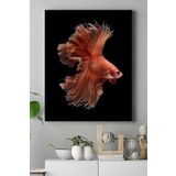 Postermanya (pster17755) Sanatsal Balık Hayvan Kanvas Tablo 50 x 70