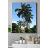 Postermanya (pster18100) Tayland Manzara Kanvas Tablo 50 x 70