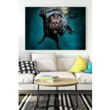 Postermanya (pster18585) Yüzen Köpek Eğlenceli Mizahi Kanvas Tablo 40 x 60