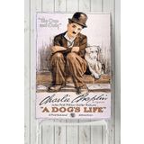 Postermanya (pster4099) A Dogs Life Film Afişi 50x70 cm