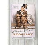 Postermanya (pster4103) A Dogs Life Hayvan Posteri Film Afişi