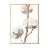 Postifull Ahşap Çerçeveli Tablo, Poster Ve Çerçeve Seti, Aquarelle Cotton Flowers Comfort Serisi No:108584;33 X 48 Ahşap Çerçeveli