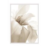 Postifull Beige Magnolia Yılbaşı Tablo, Beyaz Çerçeve Ve Poster, Duvar Tablosu Comfort Serisi No:108414;10 X 15 Beyaz Çerçeveli