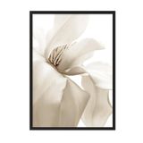 Postifull Beige Magnolia Yılbaşı Tablo, Siyah Çerçeve Ve Poster, Duvar Tablosu Comfort Serisi No:108414;13 X 18 Siyah Çerçeveli