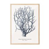 Postifull Blue Coral Çerçeveli Tablo, Ahşap Çerçeve Ve Poster, Dikey Duvar Tablosu Comfort Serisi No:108438;30 X 40 Ahşap Çerçeveli