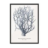 Postifull Blue Coral Çerçeveli Tablo, Siyah Çerçeve Ve Poster, Dikey Duvar Tablosu Comfort Serisi No:108438;10 X 15 Siyah Çerçeveli