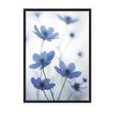Postifull Blue Cosmos Flower Çerçeveli Tablo, Siyah Çerçeve Ve Poster, Duvar Tablosu Comfort Serisi No:108373;10 X 15 Siyah Çerçeveli