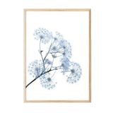 Postifull Blue Dandelion Çerçeveli Tablo, Ahşap Çerçeve Ve Poster, Duvar Tablosu Comfort Serisi No:108374;30 X 40 Ahşap Çerçeveli