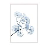 Postifull Blue Dandelion Çerçeveli Tablo, Beyaz Çerçeve Ve Poster, Duvar Tablosu Comfort Serisi No:108374;15 X 21 Beyaz Çerçeveli