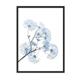 Postifull Blue Dandelion Çerçeveli Tablo, Siyah Çerçeve Ve Poster, Duvar Tablosu Comfort Serisi No:108374;10 X 15 Siyah Çerçeveli