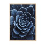 Postifull Blue Flower Cactus Çerçeveli Tablo, Ahşap Çerçeve Ve Poster, Duvar Tablosu Comfort Serisi No:108372;50 X 70 Ahşap Çerçeveli