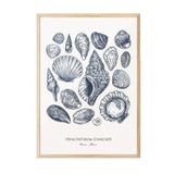 Postifull Blue Shells Çerçeveli Tablo, Ahşap Çerçeve Ve Poster, Dikey Duvar Tablosu Comfort Serisi No:108436;13 X 18 Ahşap Çerçeveli