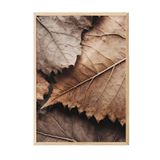 Postifull Brown Leaves Çerçeveli Tablo, Ahşap Çerçeve Ve Poster, Dikey Duvar Tablosu Comfort Serisi No:108315;50 X 70 Ahşap Çerçeveli